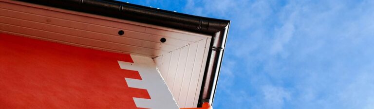 Paints & Coatings